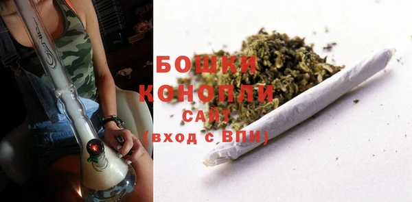 ALPHA PVP Богородицк