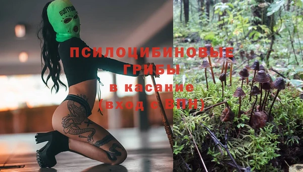 Альфа ПВП Богданович