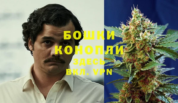 ALPHA PVP Богородицк