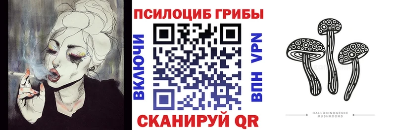 Псилоцибиновые грибы Cubensis  Свирск 